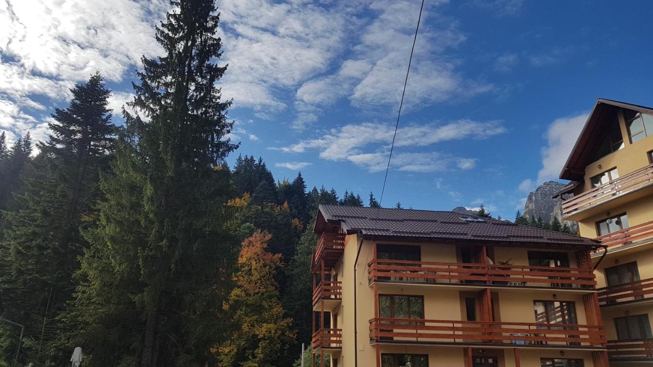 Apartament Lexannona Buşteni Exterior foto