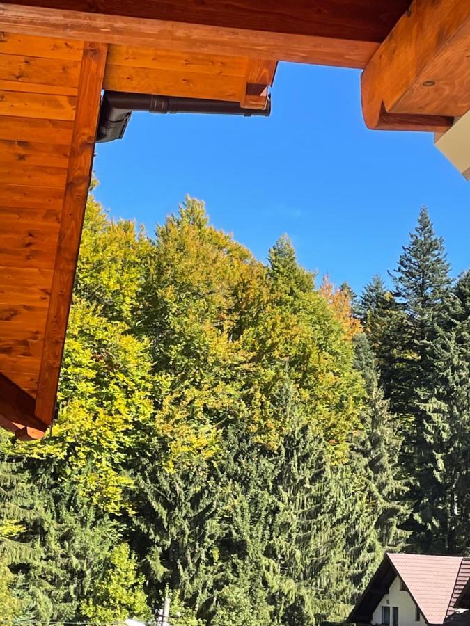 Apartament Lexannona Buşteni Exterior foto