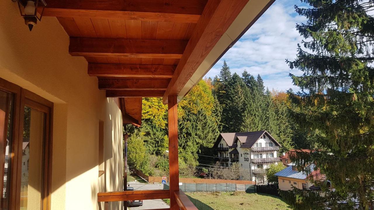 Apartament Lexannona Buşteni Exterior foto